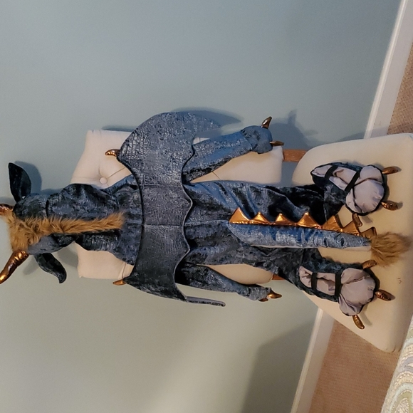 FAO Schwartz 4T Dragon costume. Texture Dark Teal metalic velvety material. - Picture 3 of 10